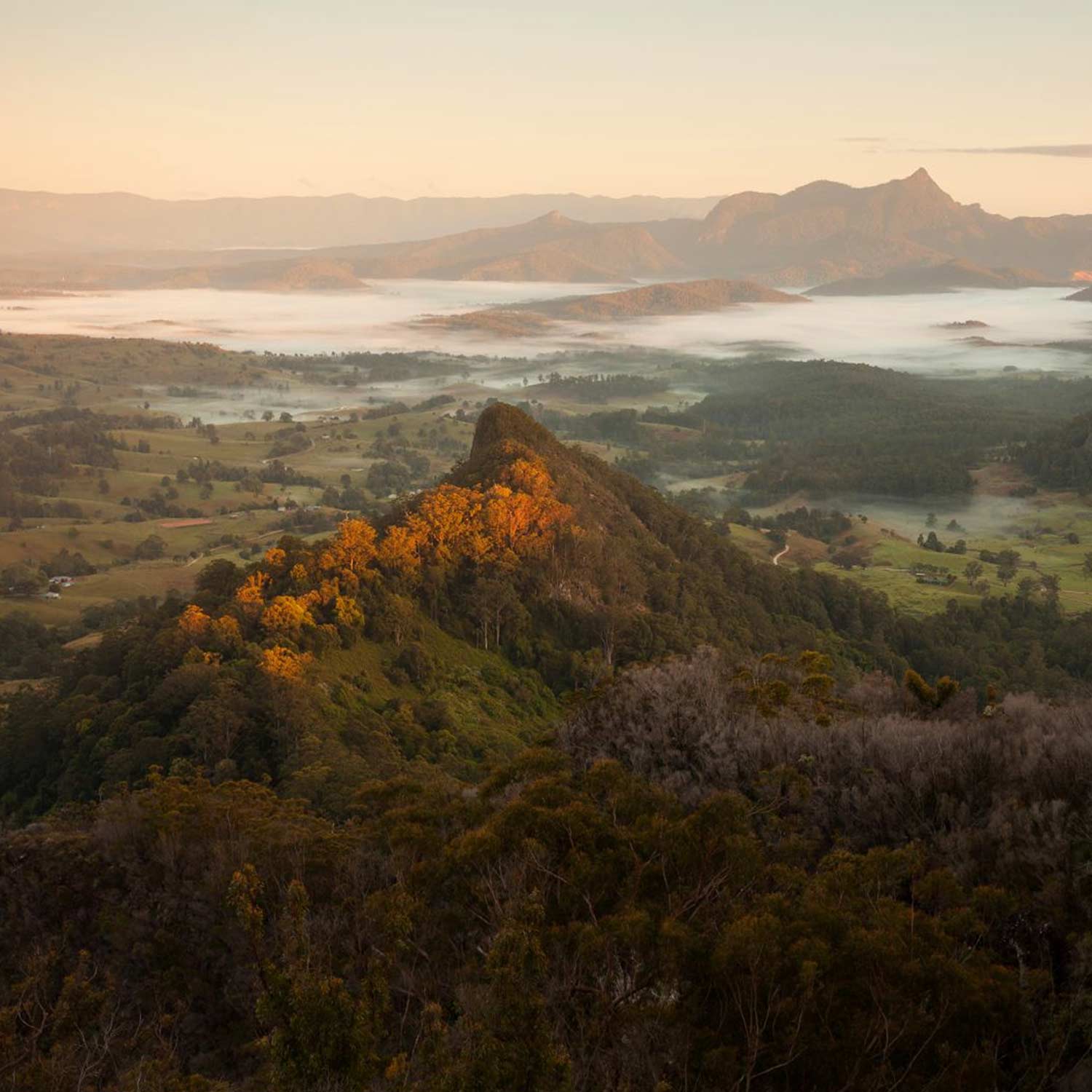 Mt Wollumbin and the Tweed caldera at sunrise